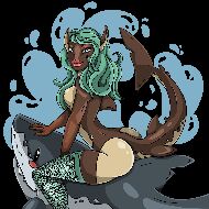 Lady Shark